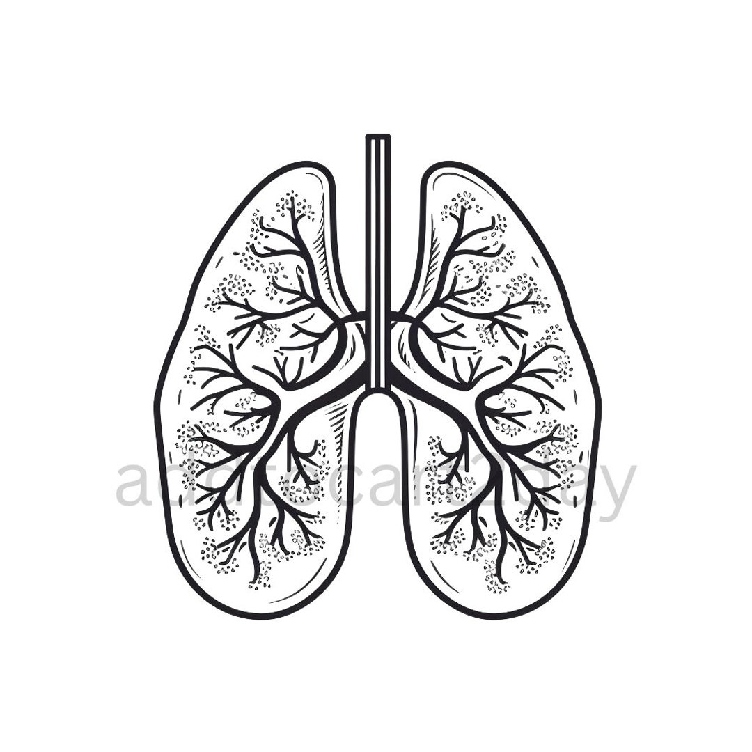 Lung Cancer Png Lung Cancer Svg Lungs Png Lungs Svg - Etsy