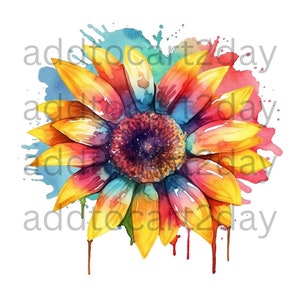 Watercolor sunflower png, rainbow watercolor sunflower svg, sunflower png, sunflower svg, rainbow sunflower png, Sublimation Design,