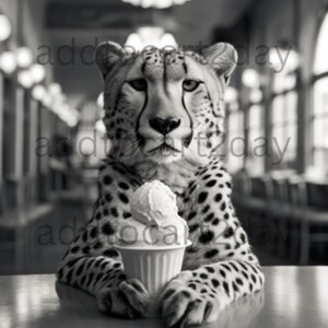 Puede incluir: Una foto en blanco y negro de un guepardo sentado en una mesa con una taza de helado. El guepardo est&aacute; mirando directamente a la c&aacute;mara.