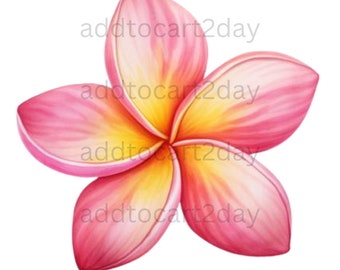 colorful plumeria png, watercolor plumeria png, plumeria svg, watercolor plumeria svg, plumeria clipart, digital download
