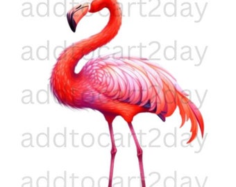 Flamingo png, flamingo svg, flamingo design png, flamingo summer svg, Flamingo clipart, Watercolor Flamingo png, Watercolor Pink Flamingo
