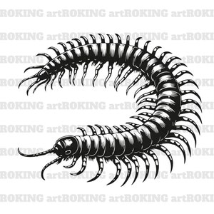 Centipede Vector Art: Tattoo Clipart, T-Shirt Design (SVG)