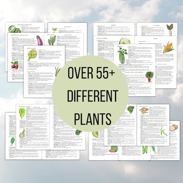 Companion Planting Guide Garden Planning Chart Companion Plants Printable New Gardener Plan Garden Reference Guide for Organic Gardening