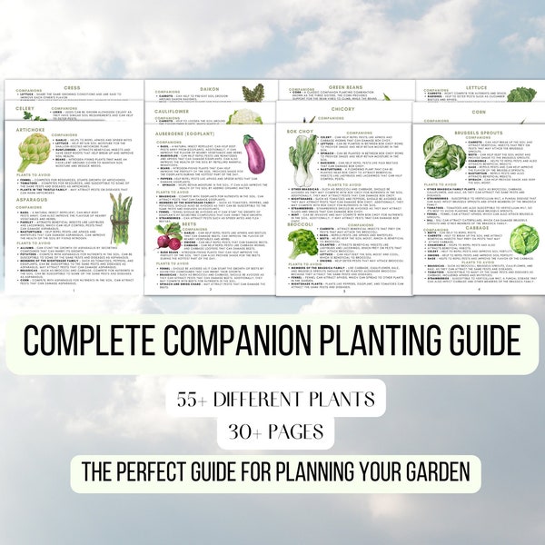 Guía de plantación complementaria Cuadro de planificación de jardines Plantas complementarias Imprimible Nuevo plan de jardinero Guía de referencia de jardines para jardinería orgánica