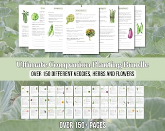 2024 Ultimate Companion Planting Guide New Garden Guide Gardener Planner Vegetable Companions for Organic Gardening Homesteading Records