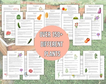 Pacchetto completo per la cura del giardino Libro da giardinaggio Regalo Homestead Pianificatore di giardini fioriti 2024 Foglio informativo per giardini di erbe aromatiche per giardinieri principianti