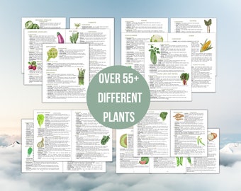 2024 Companion Planting Guide Garden Planning Chart Companion Plant Printable New Gardener Plan Garden Reference Guide for Organic Gardening