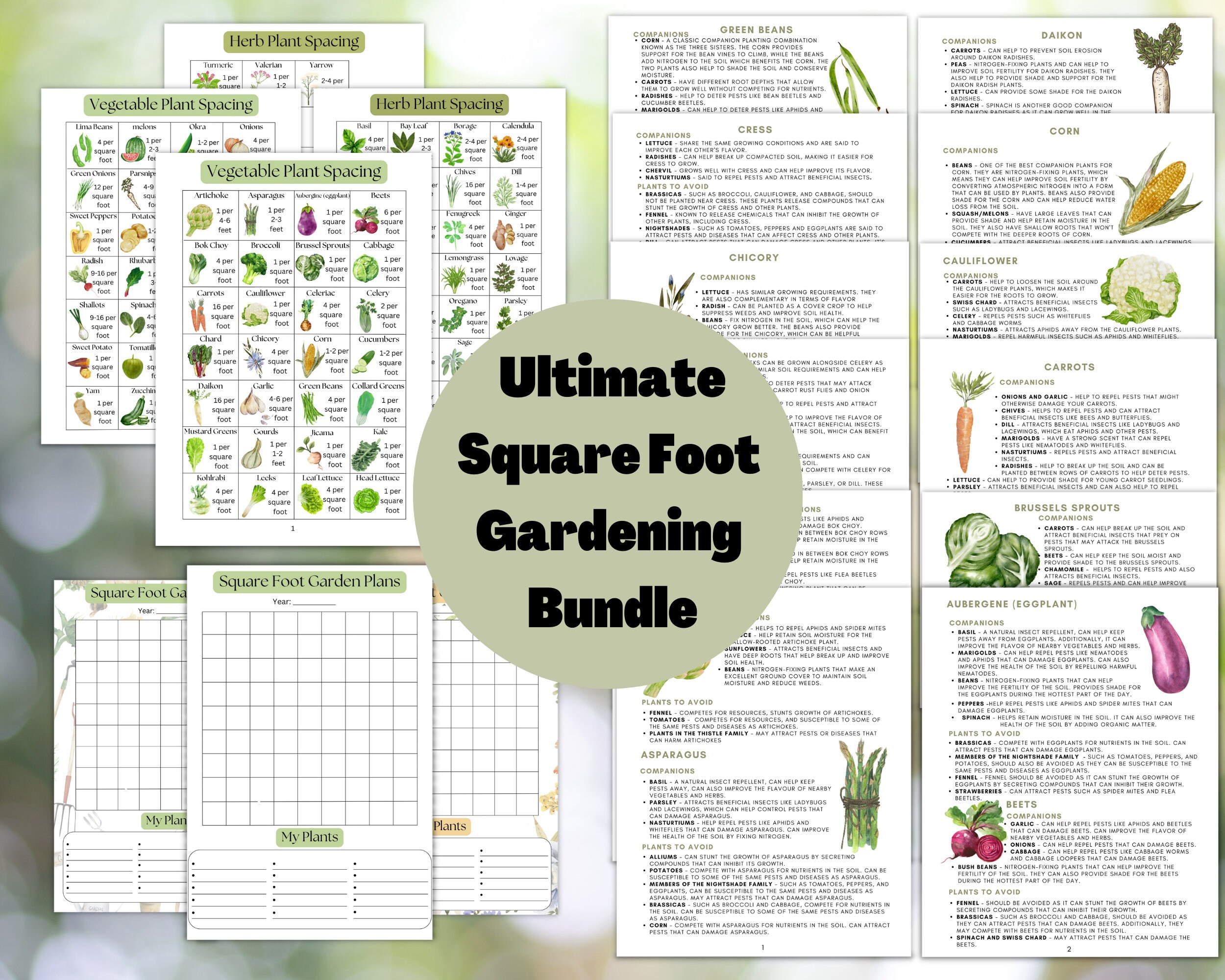 Herb Planting Chart herb-planting-chart
