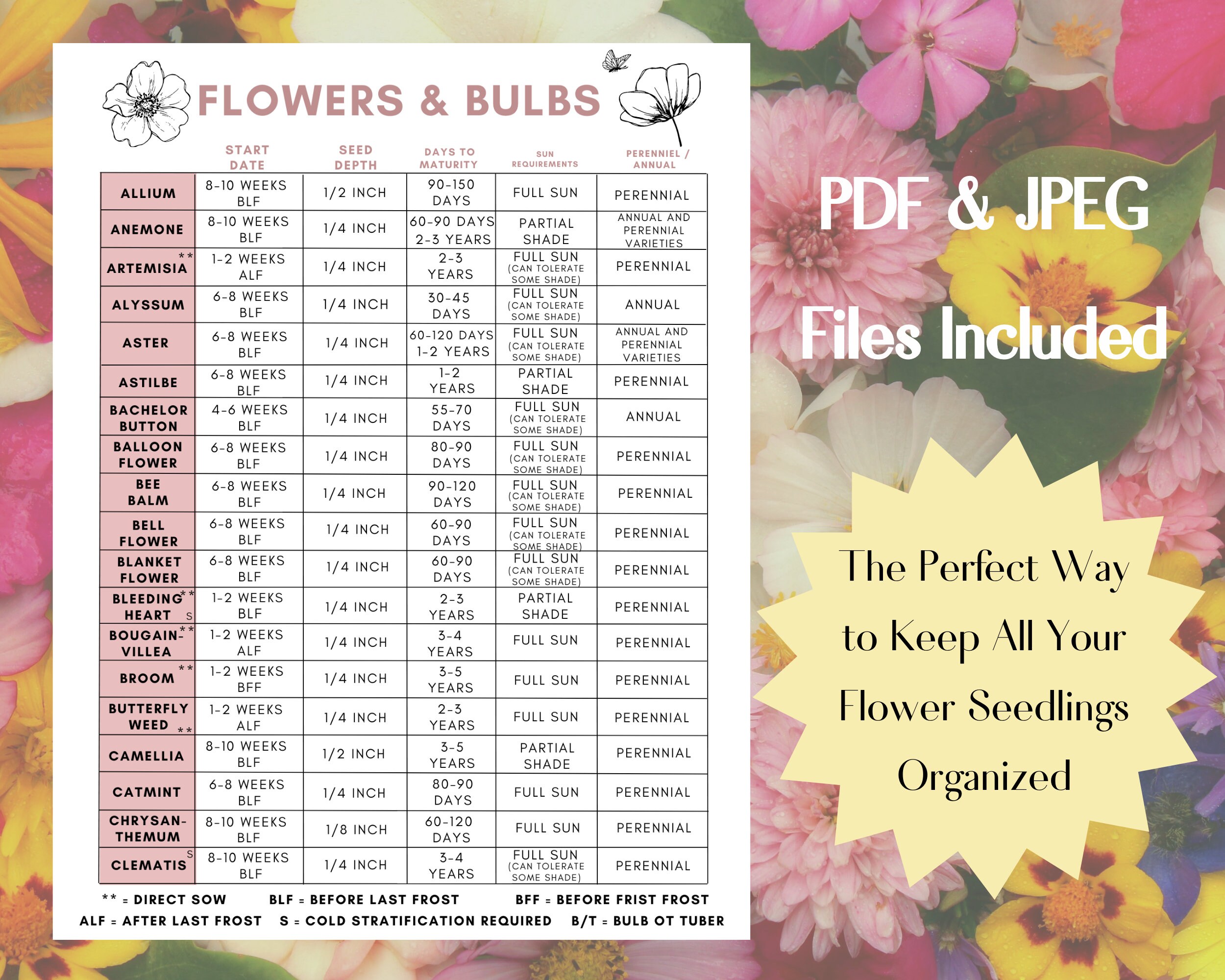 Seedling Chart