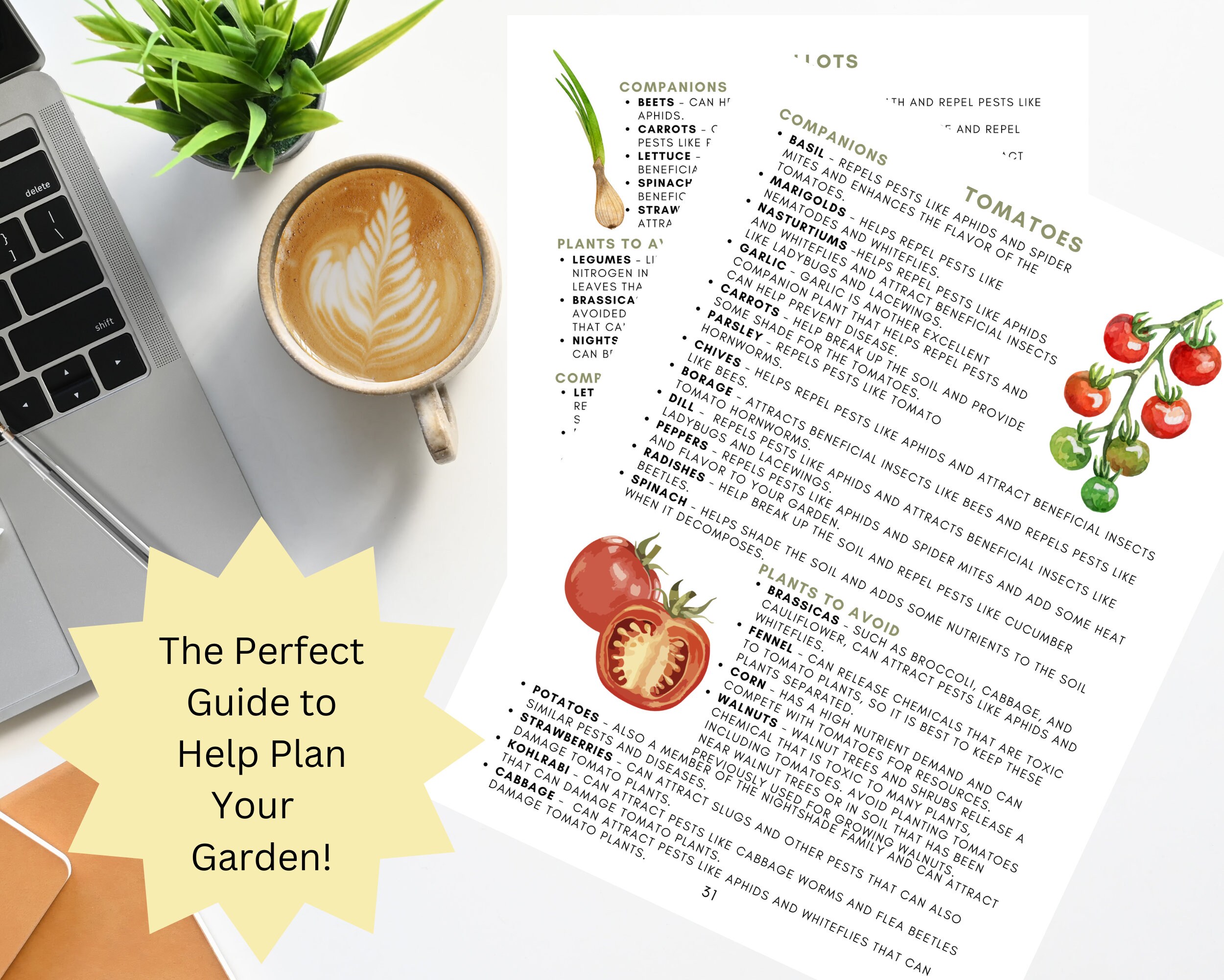 2024 Companion Planting Guide Garden Planning Chart Companion Plant