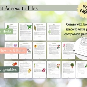 2024 Ultimate Companion Planting Guide New Garden Guide Gardener