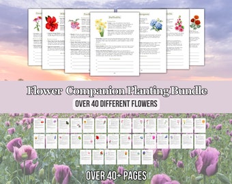 Complete 2024 Flower Companion Planting Guide New Gardener Cheatsheet Homestead Planner Companions for Organic Gardening Flower Farm Records