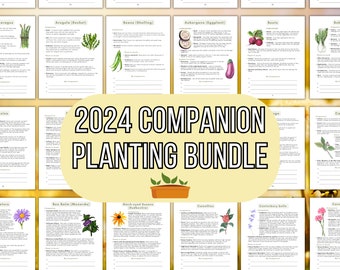 2024 Ultimate Companion Planting Guide Neuer Gartenführer Gärtnerplaner Gemüsebegleiter für Bio-Gartenbau Homesteading Records