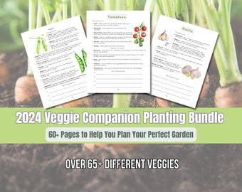 2024 Ultimate Vegetable Companion Planting Guide New Garden Guide Gardener Planner Companions for Organic Gardening Homesteading Records