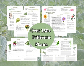 2024 Ultimate Companion Planting Guide New Garden Guide Gardener Planner Vegetable Companions for Organic Gardening Homesteading Records