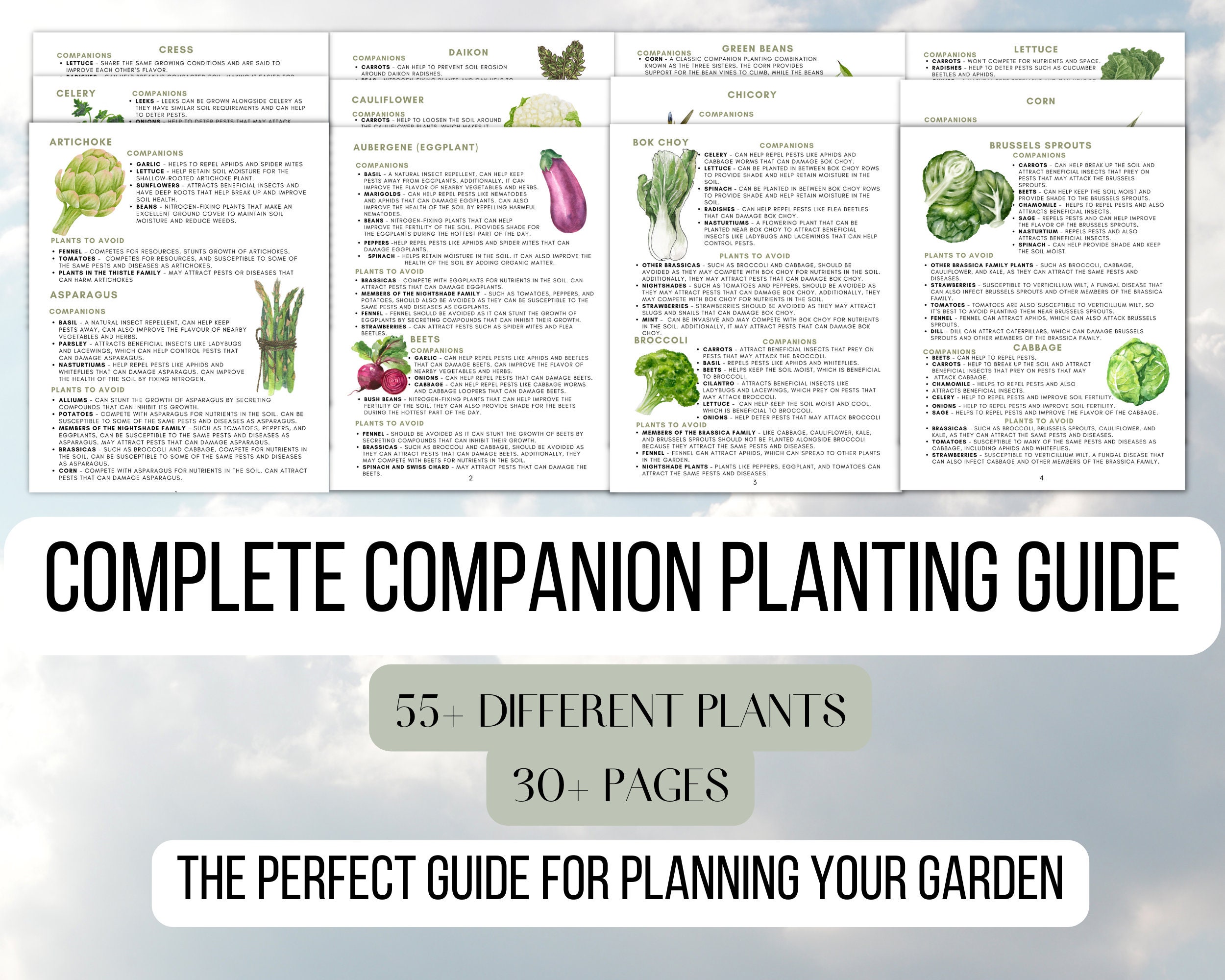 Image of Spinach companion planting chart pinterest image 3