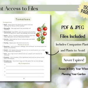 2024 Ultimate Companion Planting Guide New Garden Guide Gardener