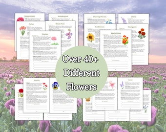 Complete 2024 Flower Companion Planting Guide New Gardener Cheatsheet Homestead Planner Companions for Organic Gardening Flower Farm Records