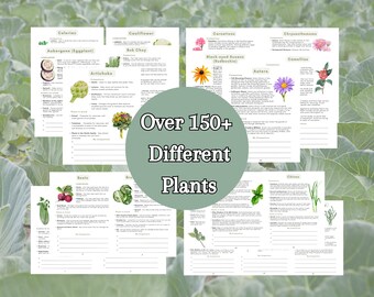 2024 Ultimate Companion Planting Guide New Garden Guide Gardener Planner Vegetable Companions for Organic Gardening Homesteading Records