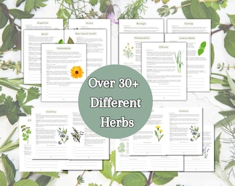 2024 Ultimate Herb Companion Planting Guide New Garden Guide Gardener Planner Companions for Organic Gardening Homesteading Records
