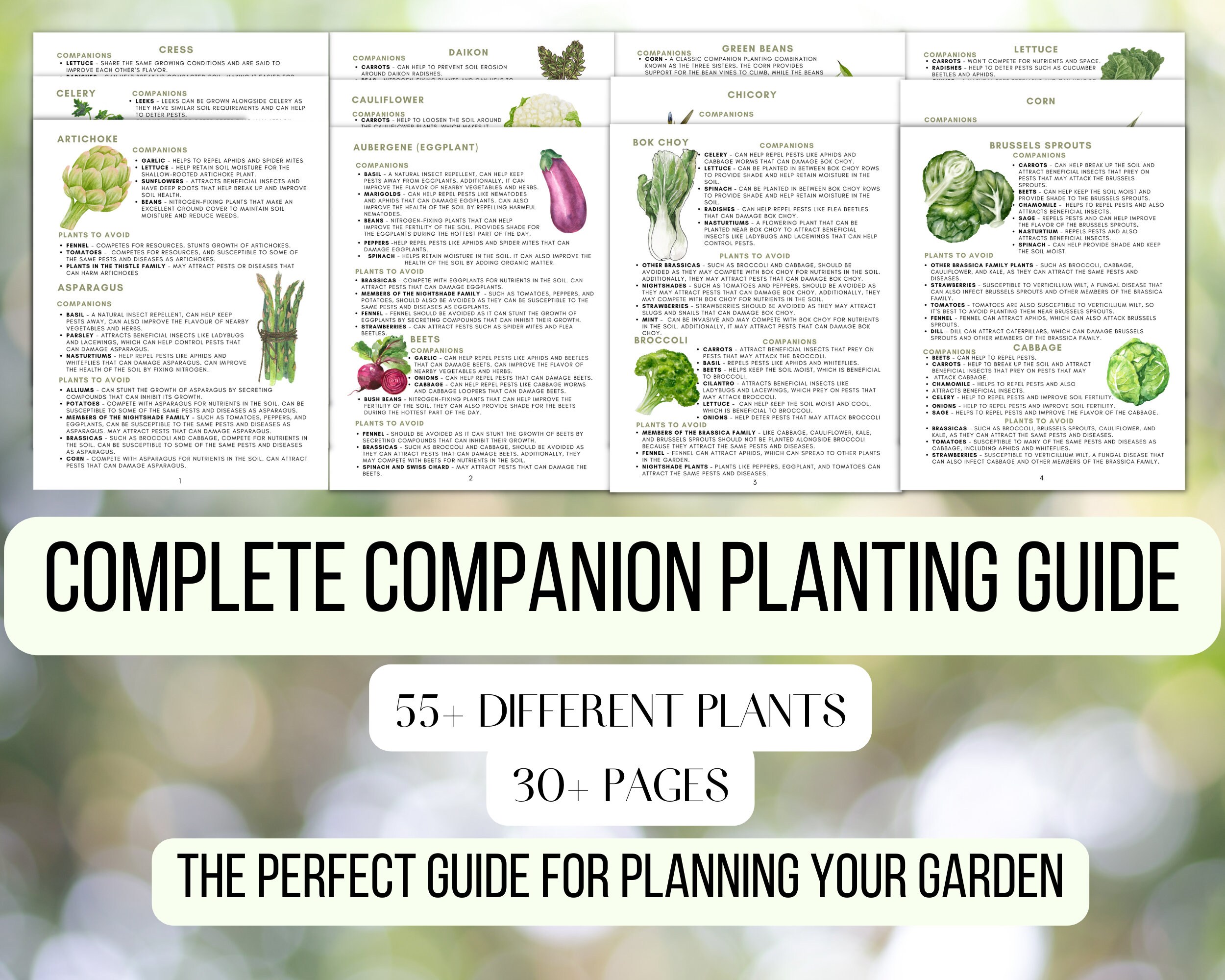 Image of Spinach companion planting chart pinterest image 2