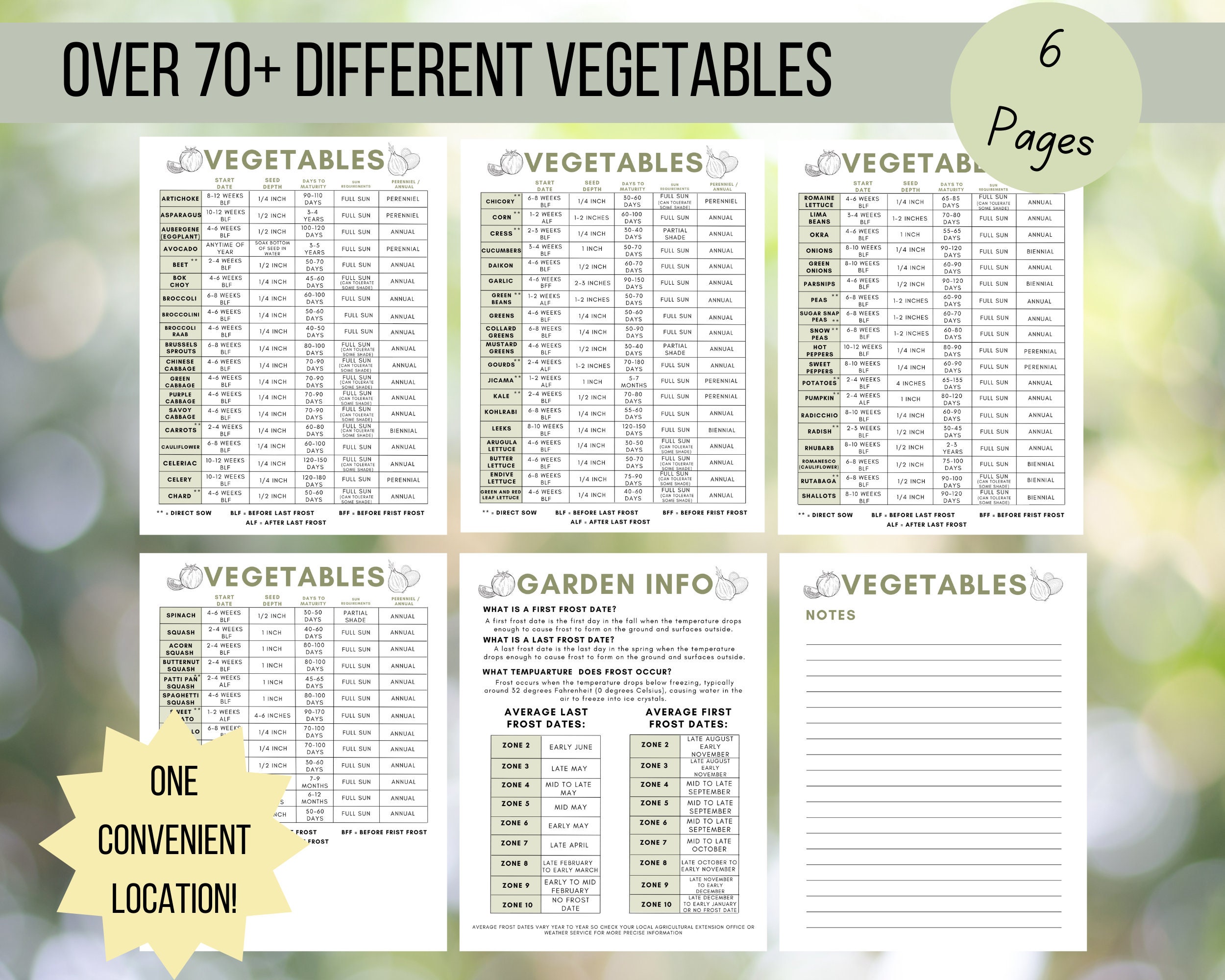 Vegetable Seed Starting Cheat Sheet Guide Veggie Garden Etsy