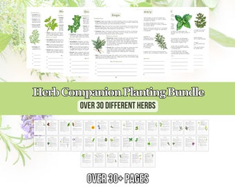 2024 Ultimate Herb Companion Planting Guide New Garden Guide Gardener Planner Companions for Organic Gardening Homesteading Records