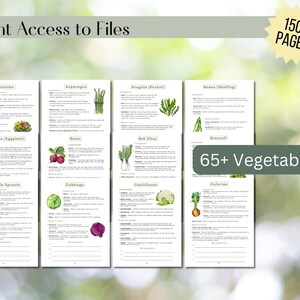 2024 Ultimate Companion Planting Guide New Garden Guide Gardener