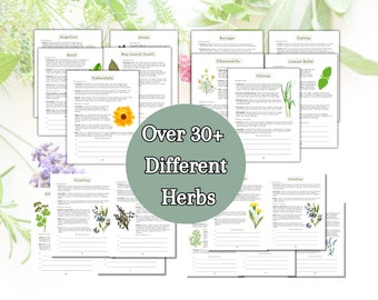 2024 Ultimate Herb Companion Planting Guide New Garden Guide Gardener Planner Companions for Organic Gardening Homesteading Records