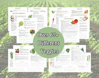 2024 Ultimate Vegetable Companion Planting Guide New Garden Guide Gardener Planner Companions for Organic Gardening Homesteading Records