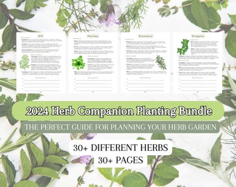 2024 Ultimate Herb Companion Planting Guide New Garden Guide Gardener Planner Companions for Organic Gardening Homesteading Records