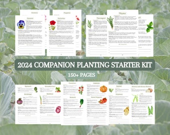 2024 Ultimate Companion Planting Guide New Garden Guide Gardener Planner Vegetable Companions for Organic Gardening Homesteading Records