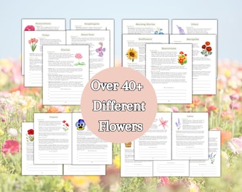 2024 Ultimate Flower Companion Planting Guide New Gardener Cheatsheet Homestead Planner Companions for Organic Gardening Flower Farm Records