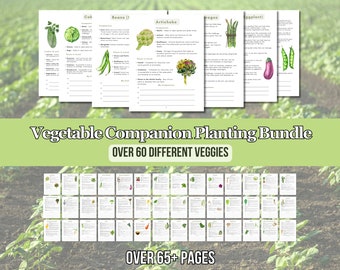 2024 Ultimate Vegetable Companion Planting Guide New Garden Guide Gardener Planner Companions for Organic Gardening Homesteading Records