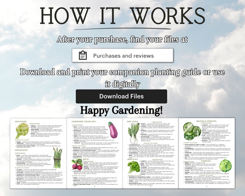 2024 Companion Planting Guide Garden Planning Chart Companion Plant