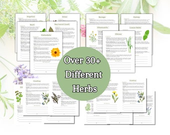 2024 Ultimate Herb Companion Planting Guide New Garden Guide Gardener Planner Companions for Organic Gardening Homesteading Records