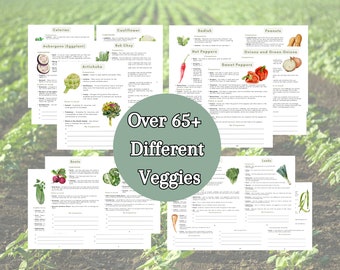 2024 Ultimate Vegetable Companion Planting Guide New Garden Guide Gardener Planner Companions for Organic Gardening Homesteading Records