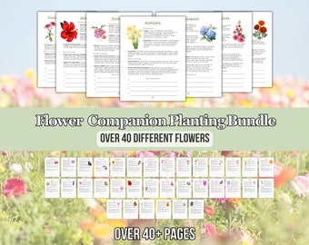 2024 Ultimate Flower Companion Planting Guide New Gardener Cheatsheet Homestead Planner Companions for Organic Gardening Flower Farm Records