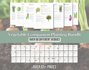 2024 Ultimate Vegetable Companion Planting Guide New Garden Guide Gardener Planner Companions for Organic Gardening Homesteading Records