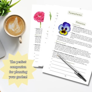 2024 Ultimate Companion Planting Guide New Garden Guide Gardener