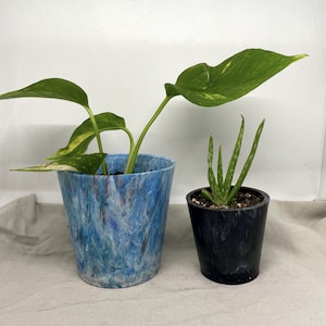 May include: Two potted plants, one with green leaves in a blue and white marbled pot, and the other with green succulent leaves in a black marbled pot.