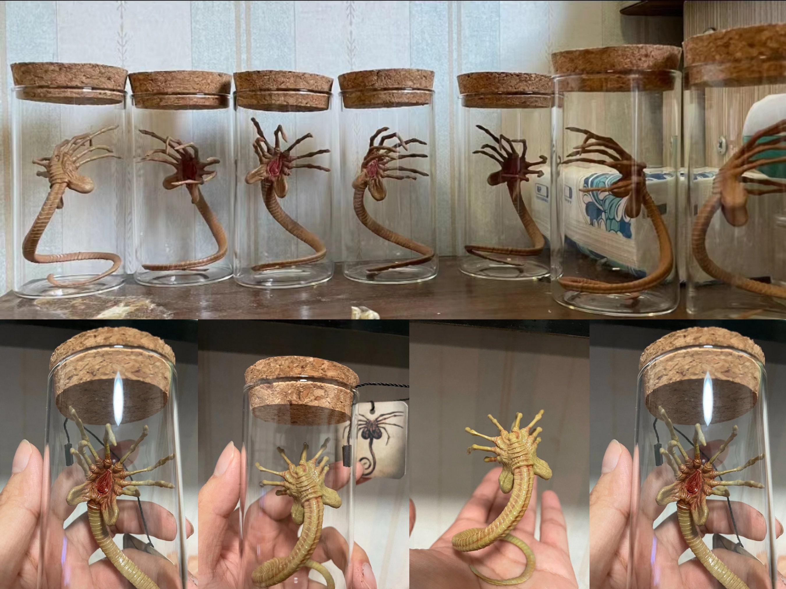 Alien Jar Xenomorph Specimen Facehugger Embryo Glass Jar Movie Prop