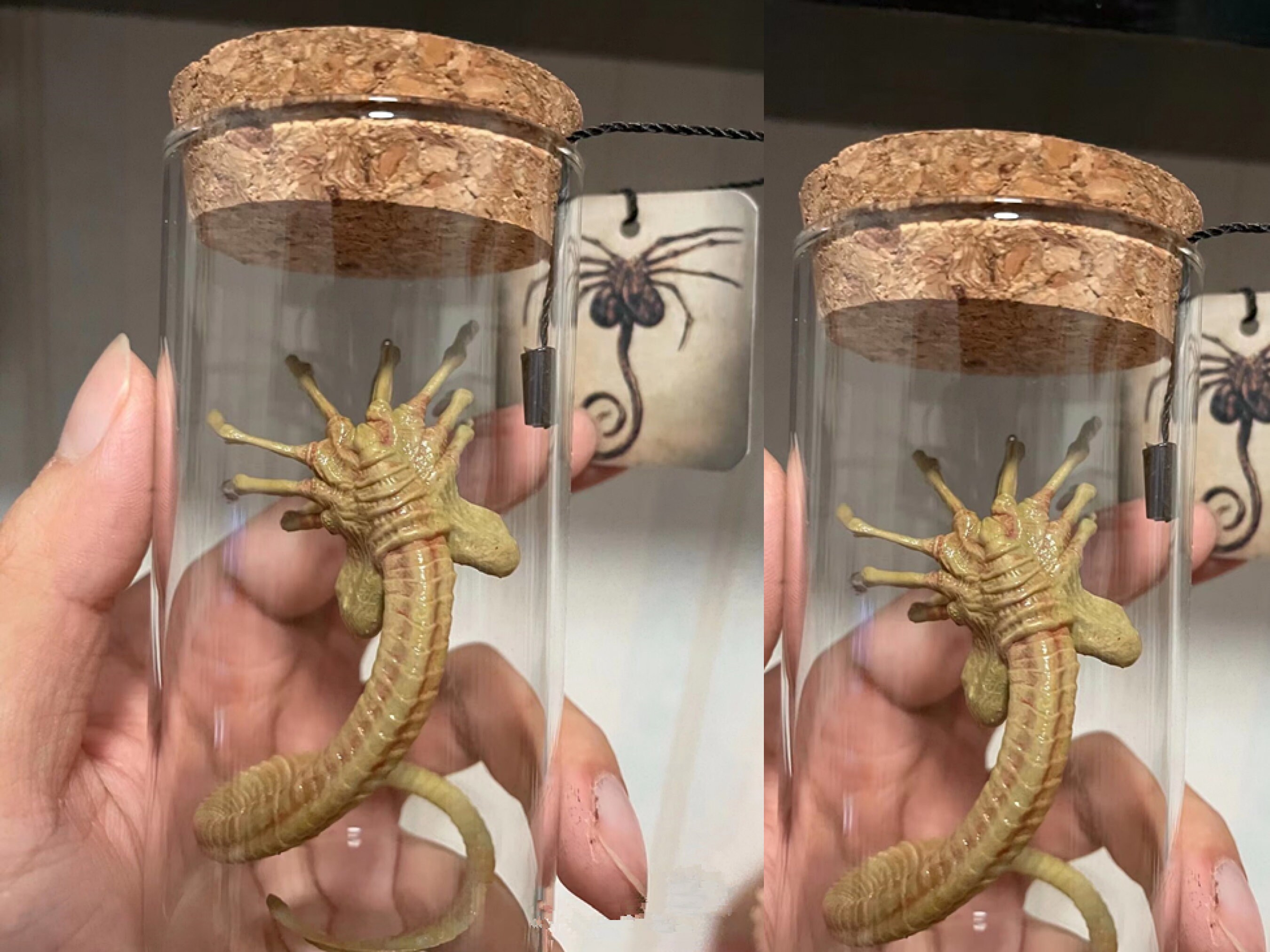 Alien Jar Xenomorph Specimen Facehugger Embryo Glass Jar Movie Prop Home Decor Desktop Crafts