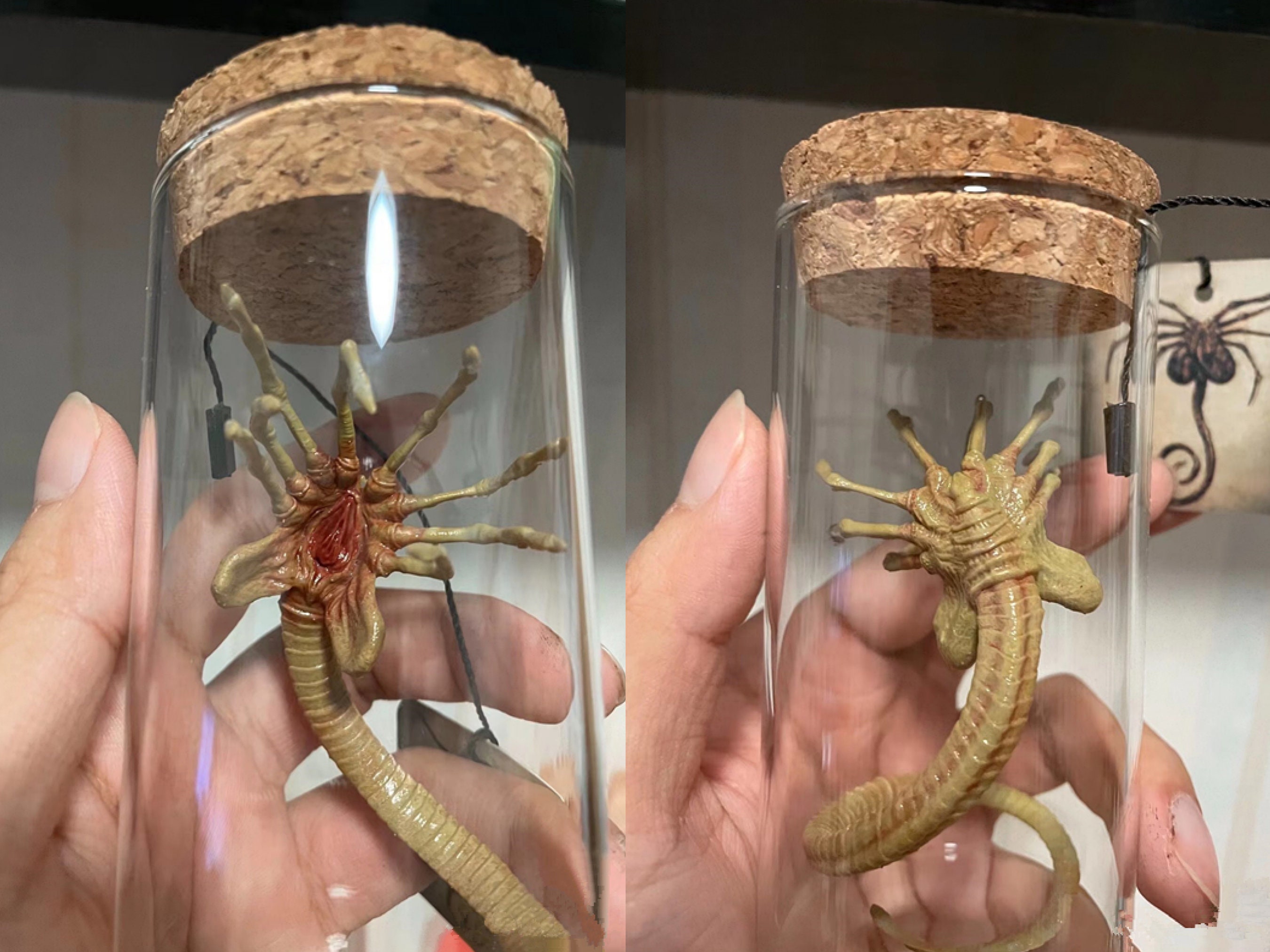 Alien Jar Xenomorph Specimen Facehugger Embryo Glass Jar Movie Prop