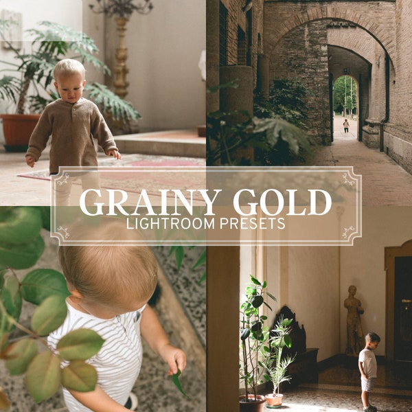 GRAINY GOLD PRESETS - warm, vintage, timeless, grainy, faded