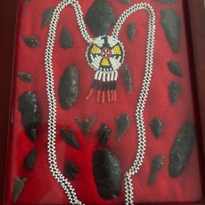 Arrowheads in Case Framed Art 29 Arrowheads