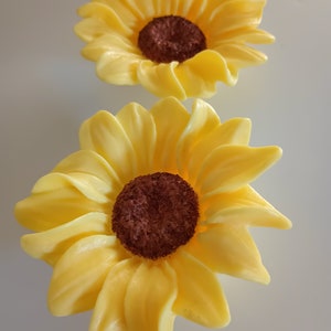 Sunflower-Sunset Yellow w/ Brown Mica Powder,1.5 oz, L 3 in, W 3 in, D 1.5 in
