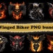 see more listings in the PNG Bundle section