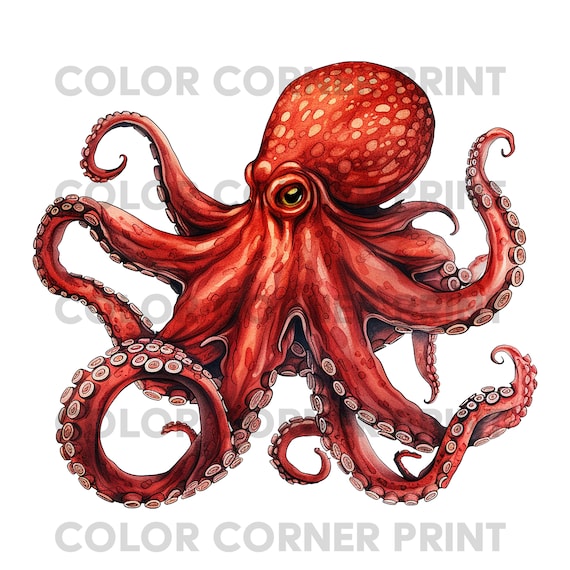 Octopus PNG Digital Download for Sublimation - 300 dpi - 3000 pixels, Octopus clipart, Octopus sublimation, Transparent Background