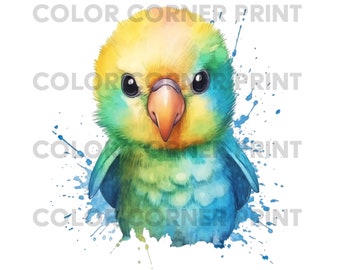 Cute Baby Bird Parrot PNG and JPEG Digital Download for Sublimation - Transparent background - 300 dpi - 3000 pixels